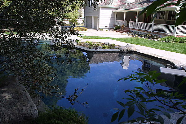 Pool 0175 36 1