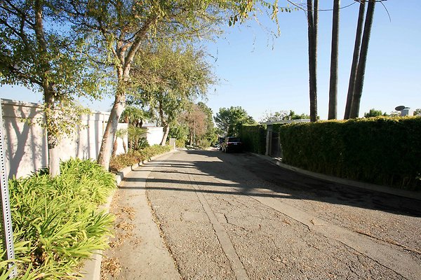 LS Street1