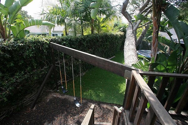 Swings from Tree House 0096