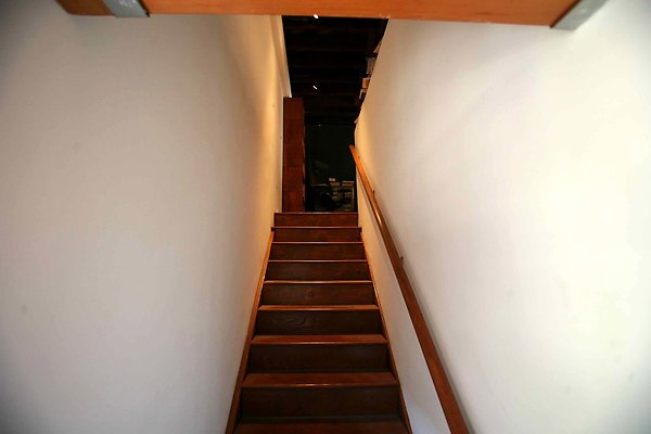 Basement Stairs 0029