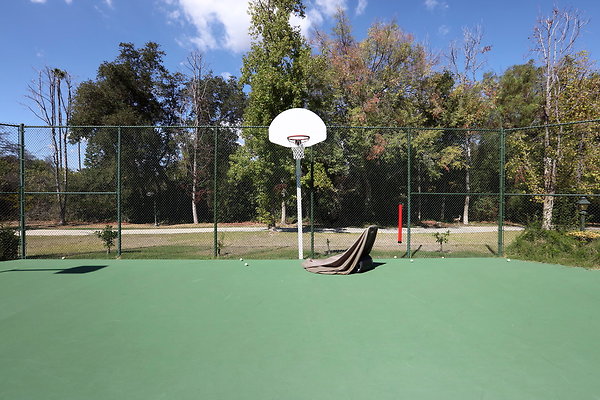 005A Tennis Court Hoop 0054