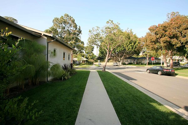 LS Sidewalk2