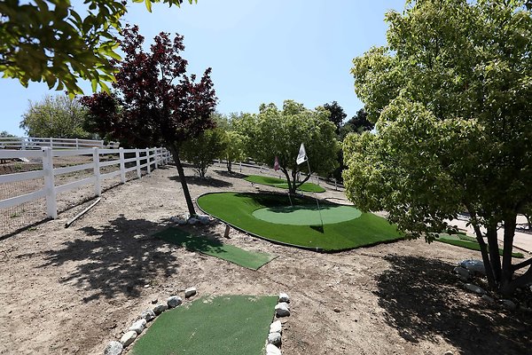 043A Backyard Golf Putting Green 0132