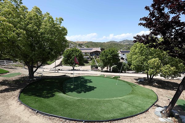 043A Backyard Golf Putting Green 0131