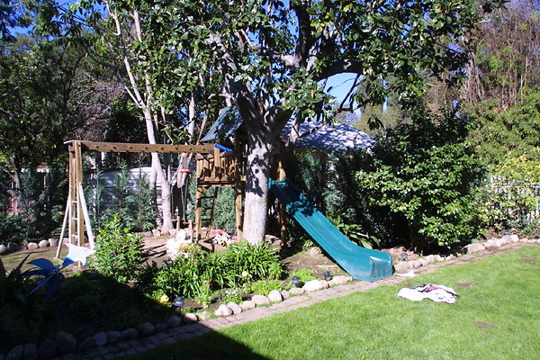 Backyard Play Structure 1