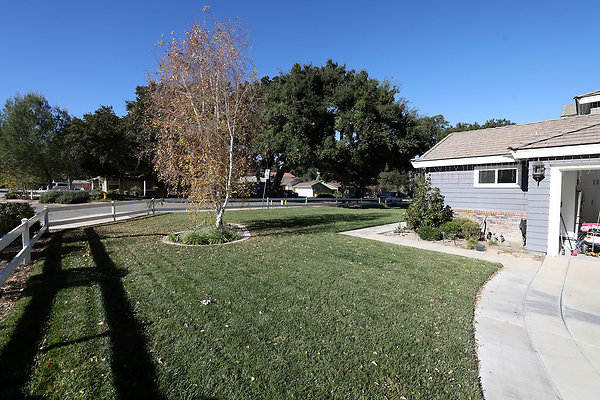 756A Side Yard 0015